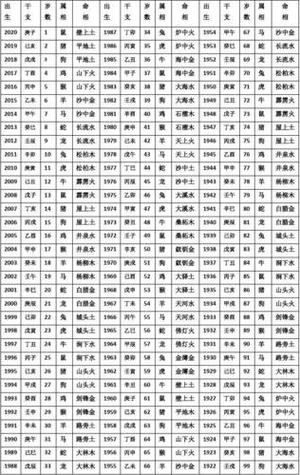 2020年是什么年属相截图2
