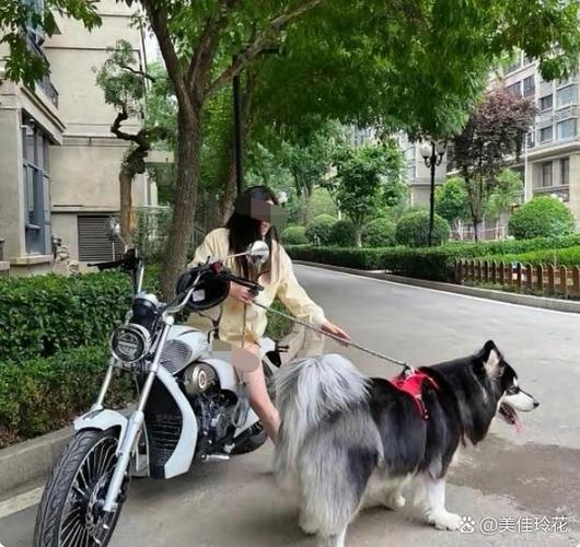 天津小区遛狗时认识的公务员大姐