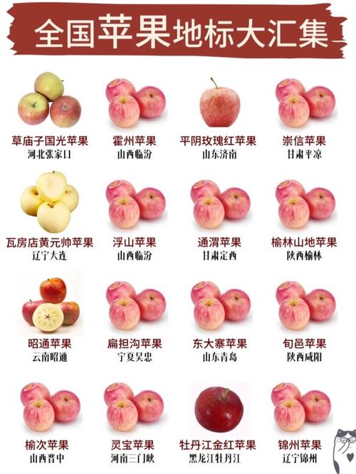 Shift等于苹果哪个键