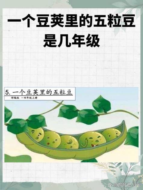 网络豆子比喻什么人 网络豆子比喻什么人