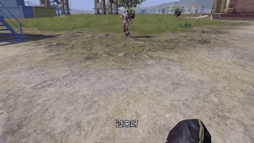 和平精英捡不了东西