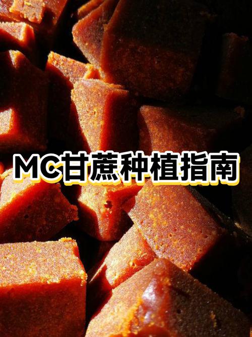 mc甘蔗生长条件 mc甘蔗生长条件