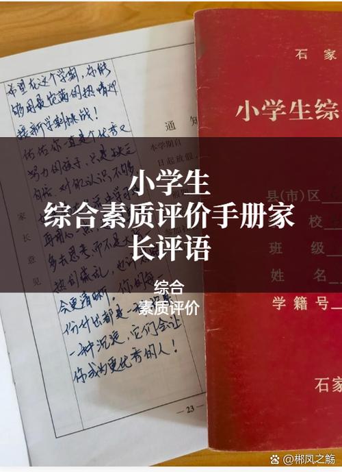 小学生素质报告v自动保存图片哪里找