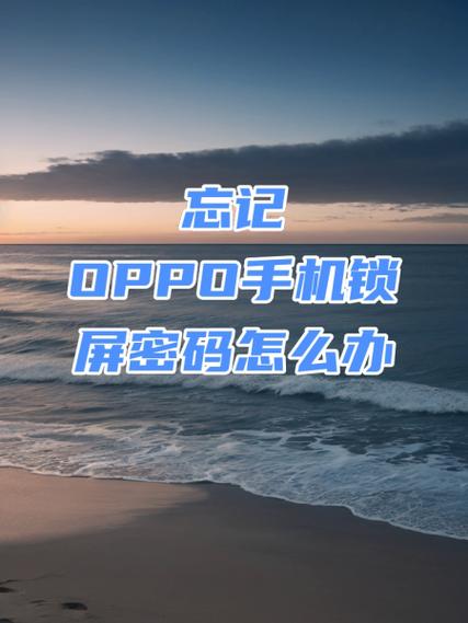 oppoa5忘记锁屏密码刷机教程截图2