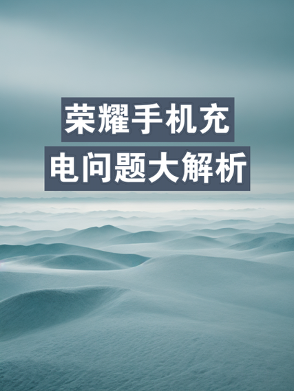 荣耀v20充电口是什么