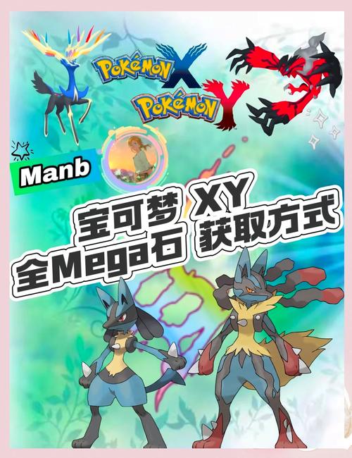 口袋妖怪mega进化石截图3