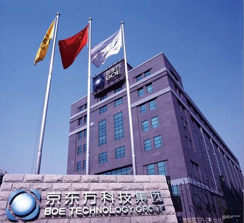 京东方是什么性质的企业截图2