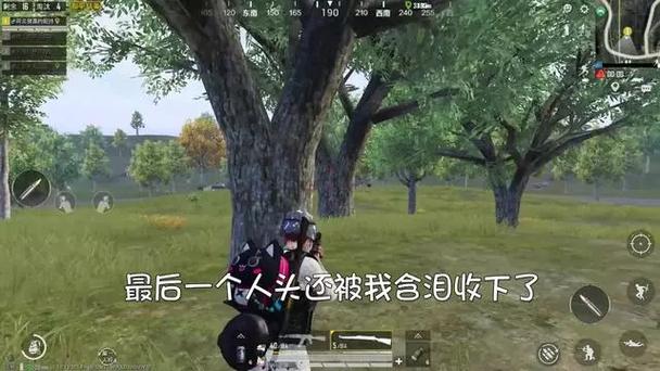 和平精英吃鸡重要还是人头重要