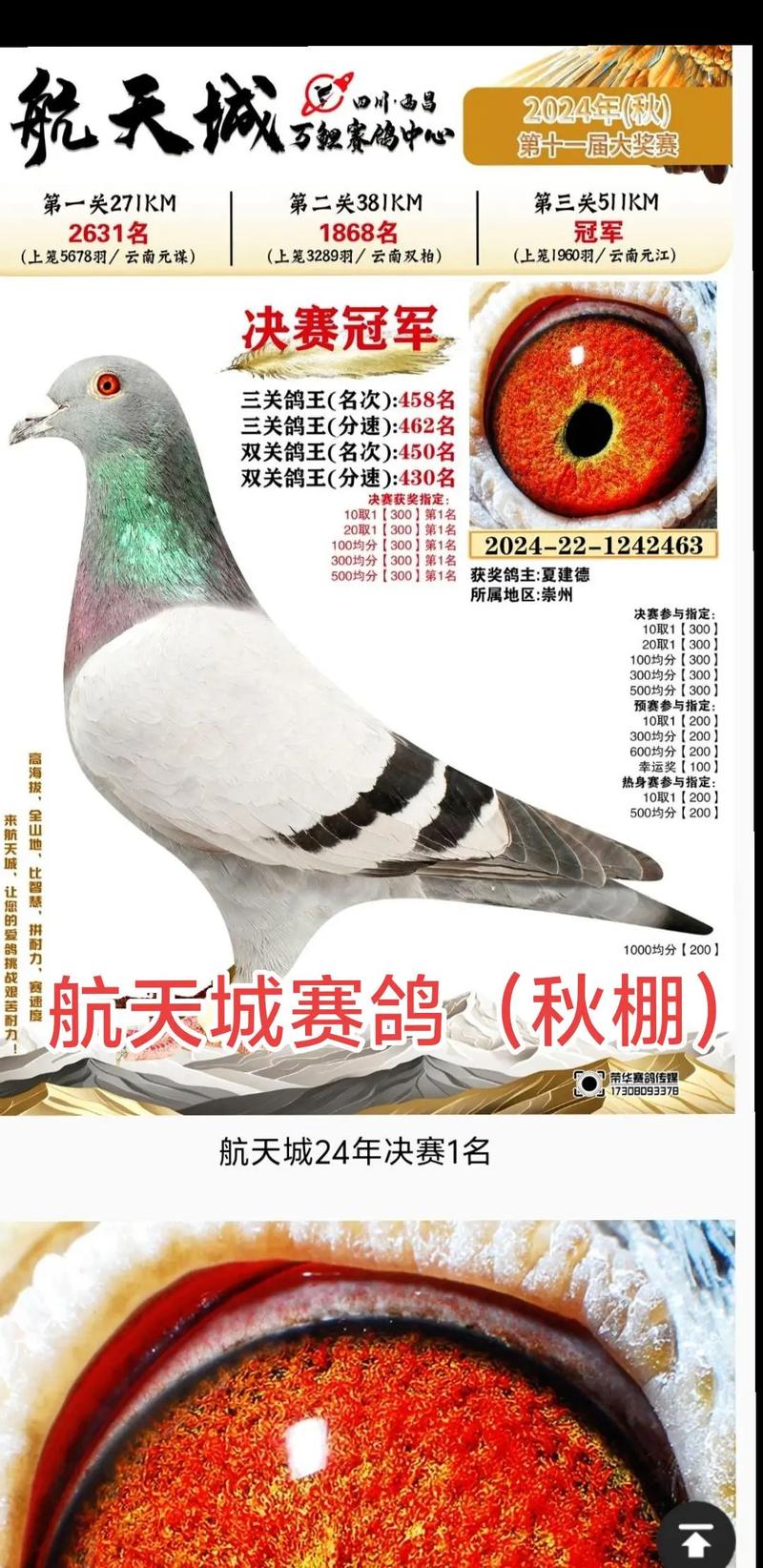 各地公棚信鸽信息网公棚DPS