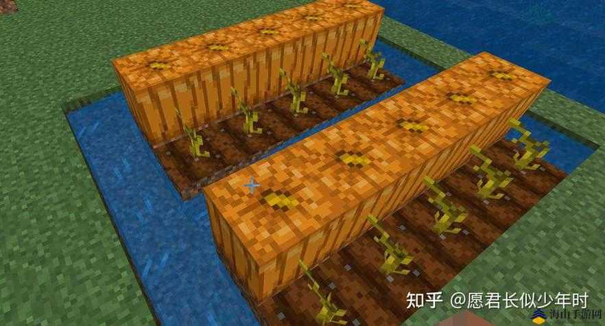 我的世界南瓜种子怎么才能种出南瓜
