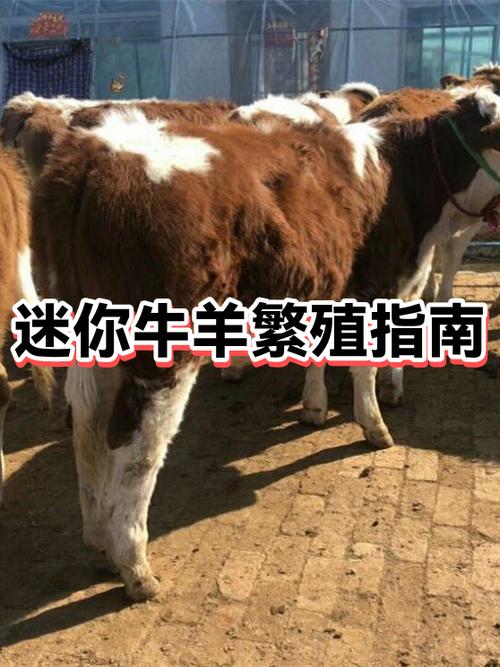 迷你世界里面的牛吃什么可以生宝宝