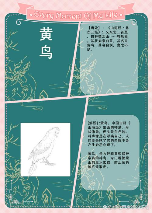 稀有黄鸟刷新属性