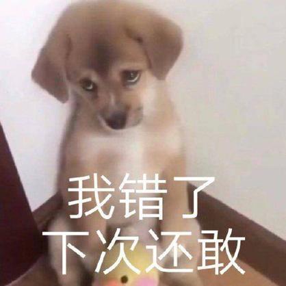 对不起我下次还敢表情包