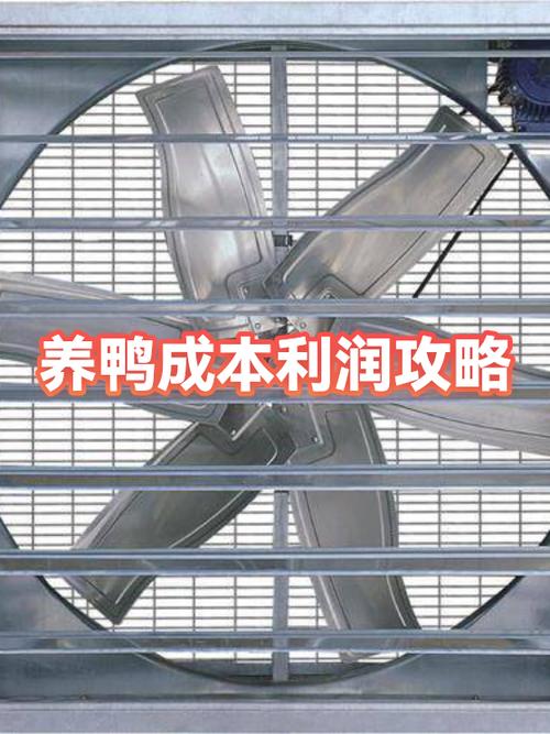 养鸭1000只利润和成本