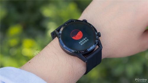 华为gt2手表校准海拔高度截图2