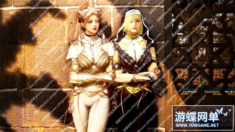 黑色沙漠单机版