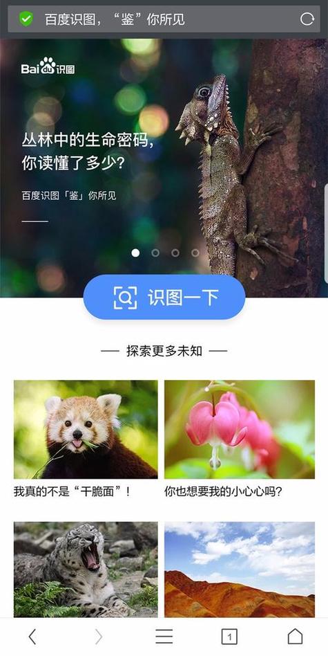 百度识图在线识图识别