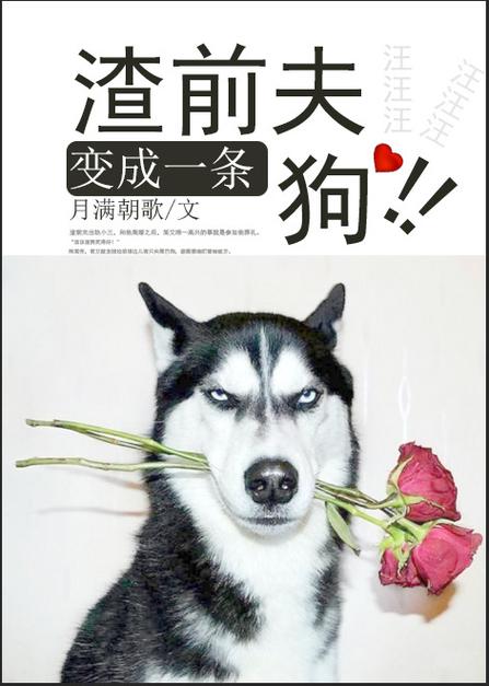 我的丈夫是条狗最新章节截图2