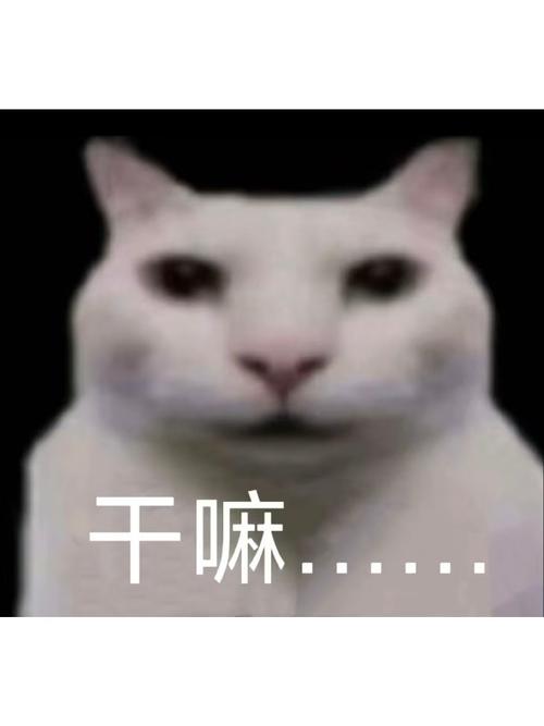 众乐邦是干嘛的截图3