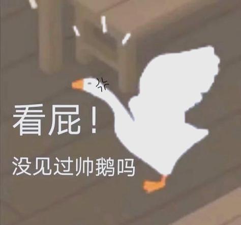 大鹅模拟器图文攻略