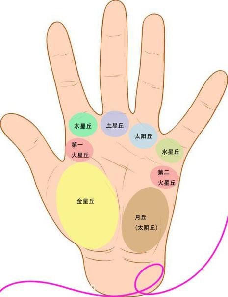 手掌纹路很清晰说明什么