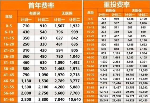 平安e生保是什么险
