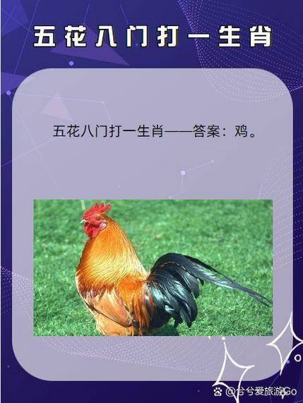 繛指什么生肖