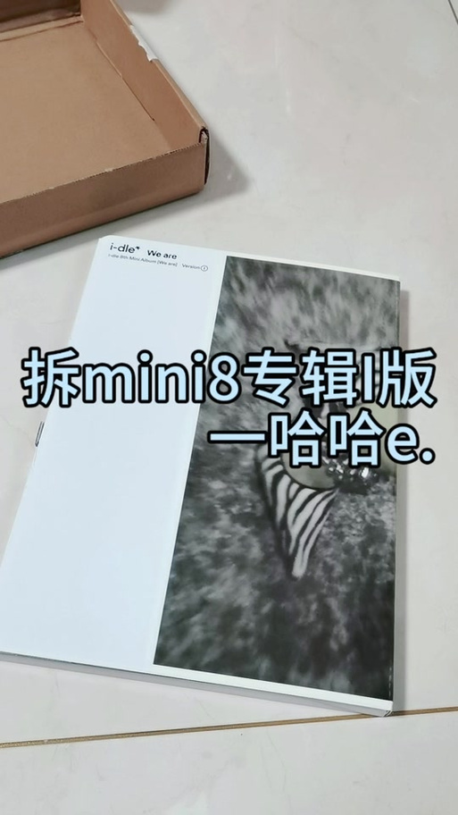 正规专辑和mini专辑的宣传费用
