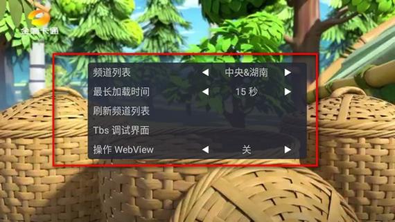 webviewTV版安装包截图3