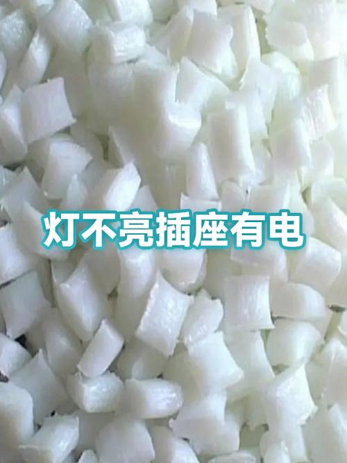 为什么灯有电插座没有电