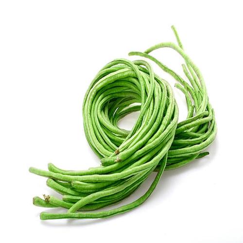 豇豆是啥豆