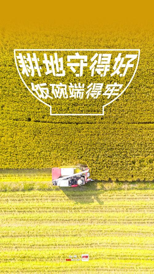 牢大公益直装v10.0版