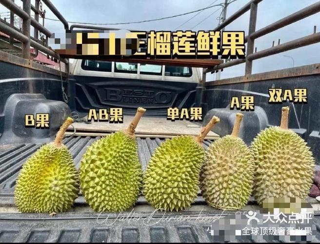 榴莲app官方2023最新版本截图3