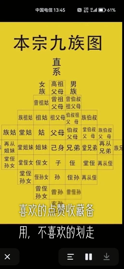 堂兄弟算亲兄弟吗截图3