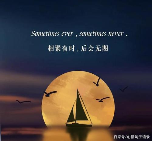 秒赞的经典语录 秒赞的经典语录