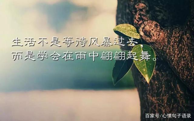 秒赞的经典语录截图2
