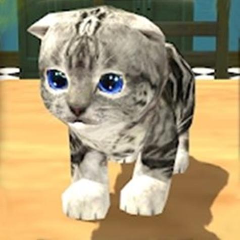 猫3D模拟器下载截图3
