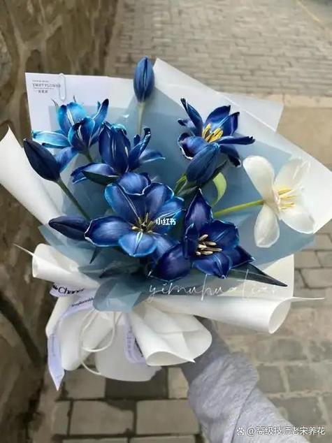 购买blued账号