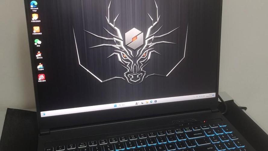 机械革命蛟龙开机卡在logo