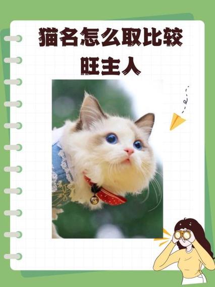 女猫最旺三个名字