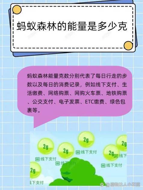 蚂蚁森林提醒收能量