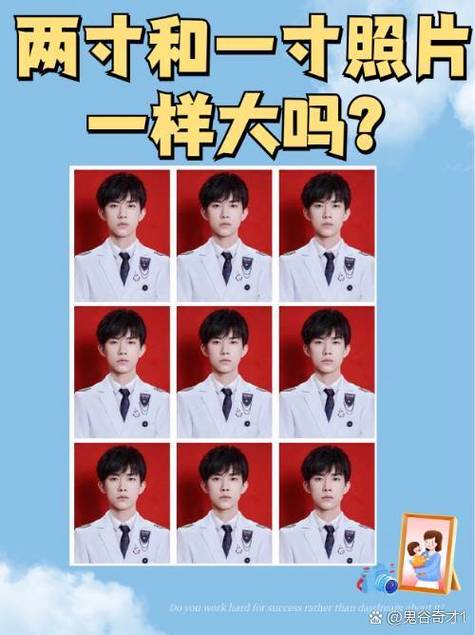 1寸和2寸照片尺寸截图3