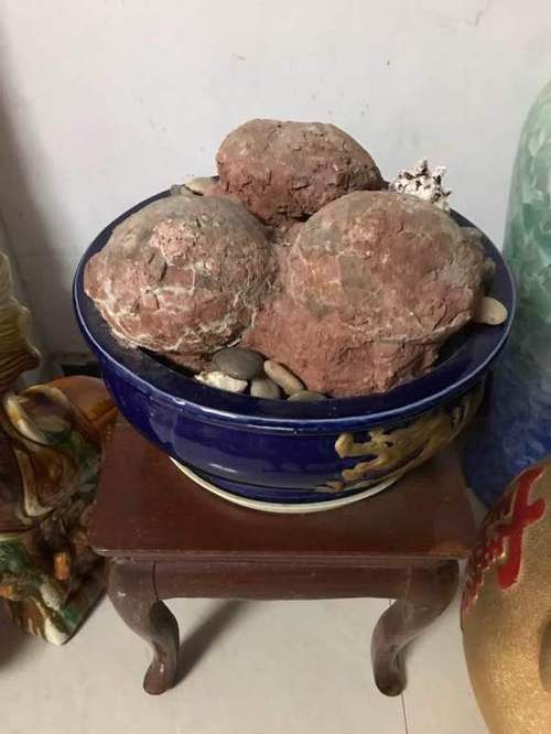恐龙蛋怎么卖出去