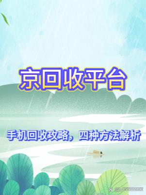手机回收之后怎么处理