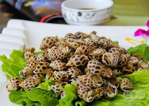 帝王螺肉多少钱一斤