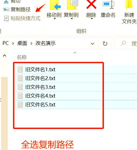 改名字的步骤