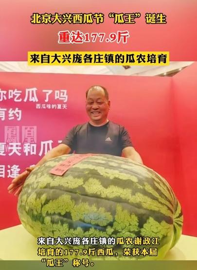 特大西瓜品种介绍截图2