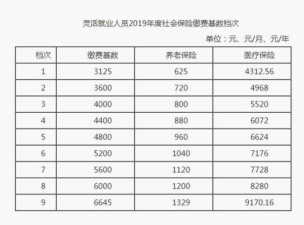 社保费缴纳 社保费缴纳