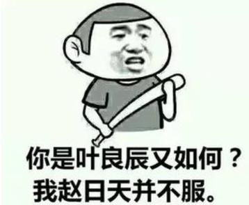 赵日天原曲