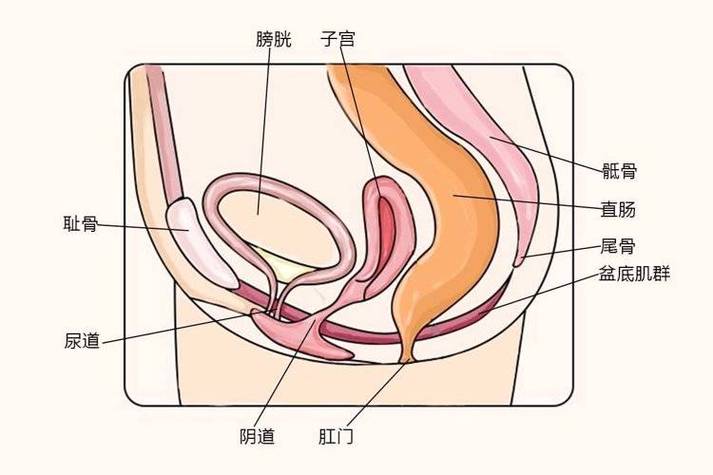 私处发出噗噗声怎么回事
